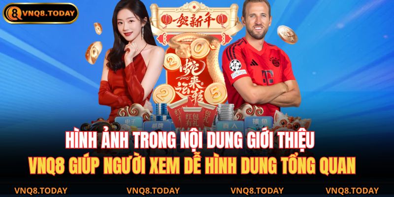 Hình ảnh trong nội dung giới thiệu VNQ8 giúp người xem dễ hình dung tổng quan